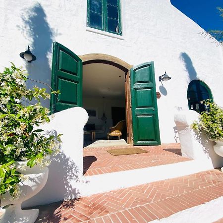 Hotel Vineyard Retreat Franschhoek Exterior foto